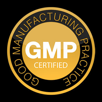 GMP logo